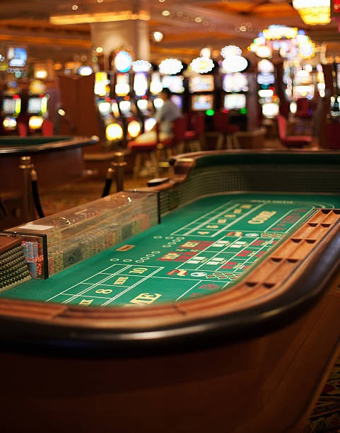 poizystore live-dealer Dragon Tiger table with HD video feed and betting interface